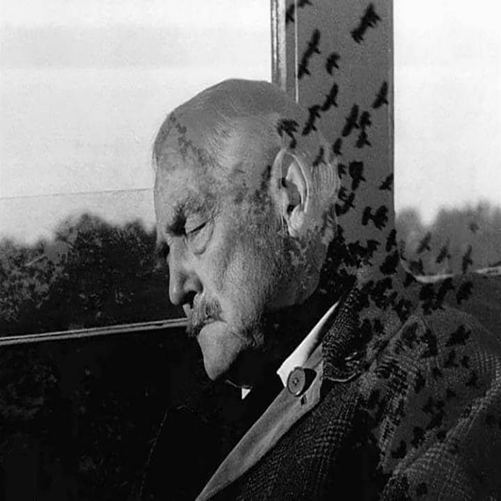 نقد فیلم توت فرنگی های وحشی