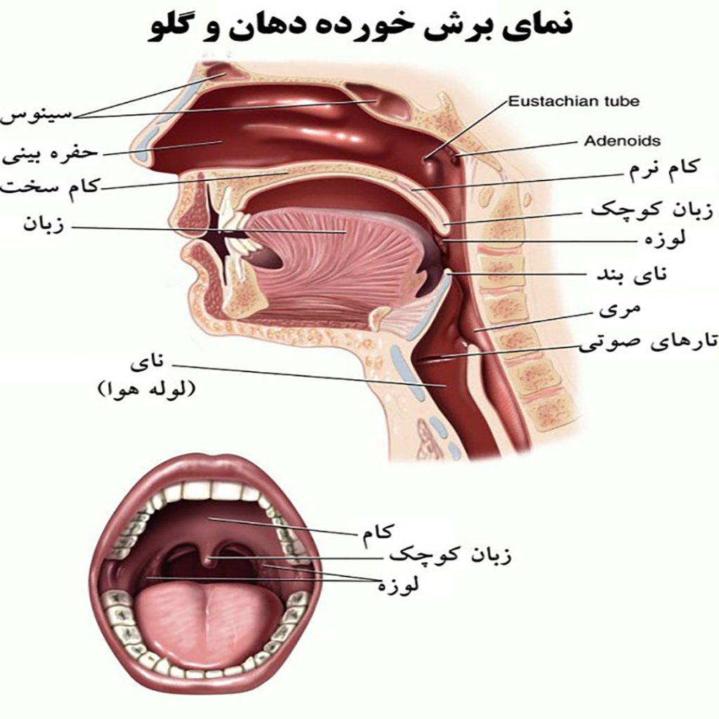 آشنایی با روش‌های صحیح تولید صدا